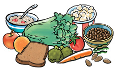 Imagen en la que se observan alimentos ricos en fibra, como las frutas, los vegetales, las legumbres, los frutos secos, las semillas y los granos.