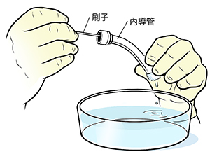 特寫鏡頭：雙手將清潔刷推過一碗水上的氣管造口管。