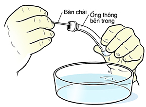 Cận cảnh bàn tay đẩy bàn chải vệ sinh qua ống mở khí quản phía trên bát nước.