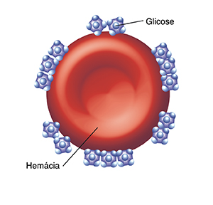 Hemácia com várias moléculas de glicose presas nela.